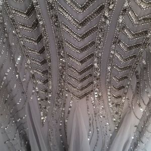 Adriana Papelle elegant silver dress